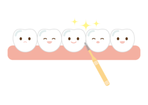 歯間ブラシでケアされてきれいになった歯のイラスト