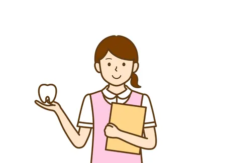 歯の模型を持つ歯科衛生士のイラスト